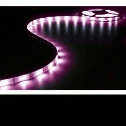 image: FLEXIBLE À LED - BLANC FROID - 300 LEDs - 5 m - 12 V