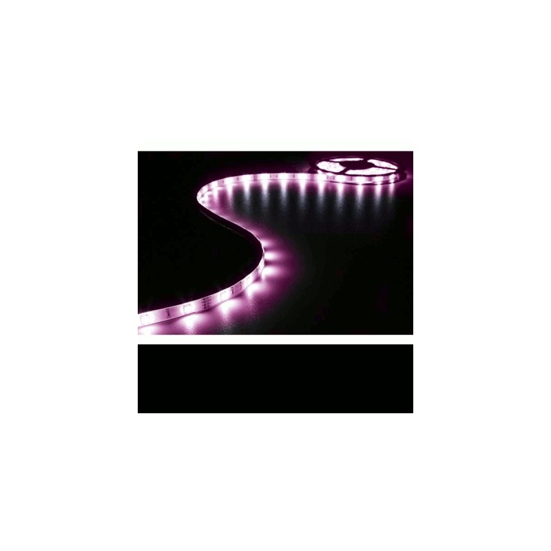 image: FLEXIBLE À LED - BLANC FROID - 300 LEDs - 5 m - 12 V